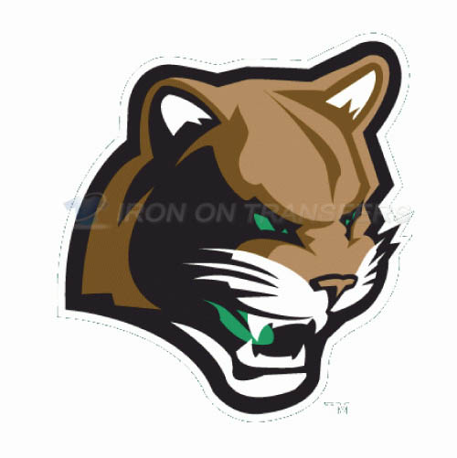 Kane County Cougars Iron-on Stickers (Heat Transfers)NO.8109